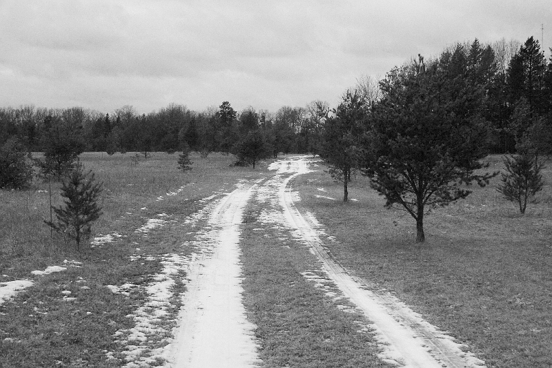 20050215-Jacks1stBirthday-166-bw