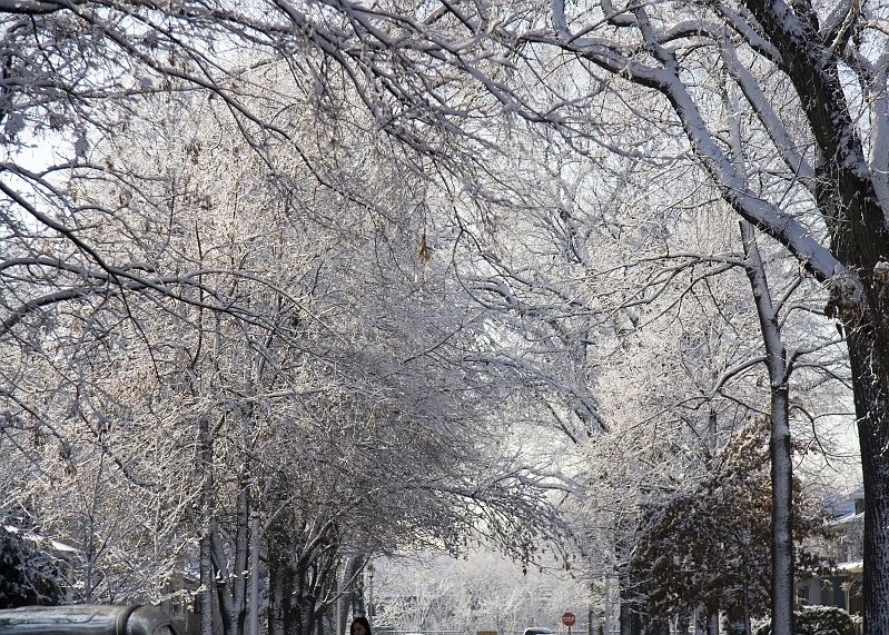 20060430-JanuarySnow-025