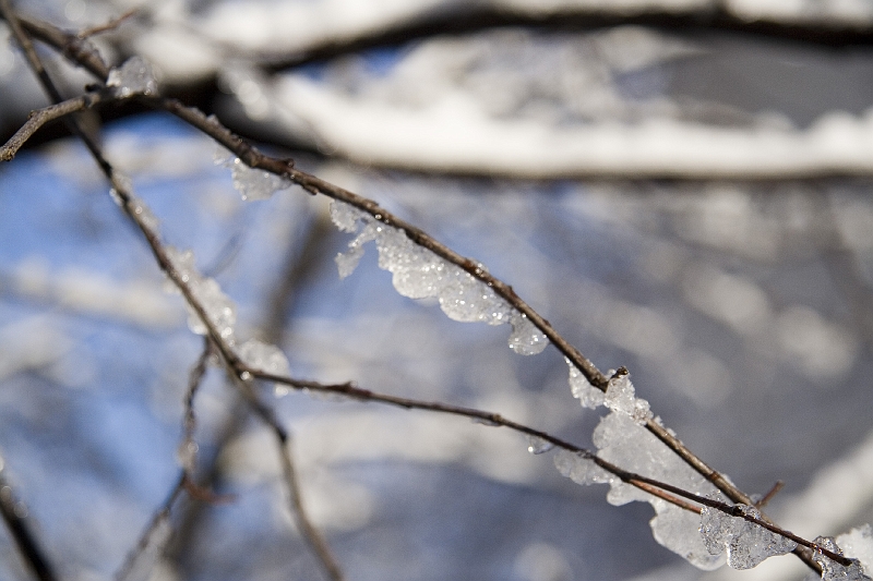 20060430-JanuarySnow-026