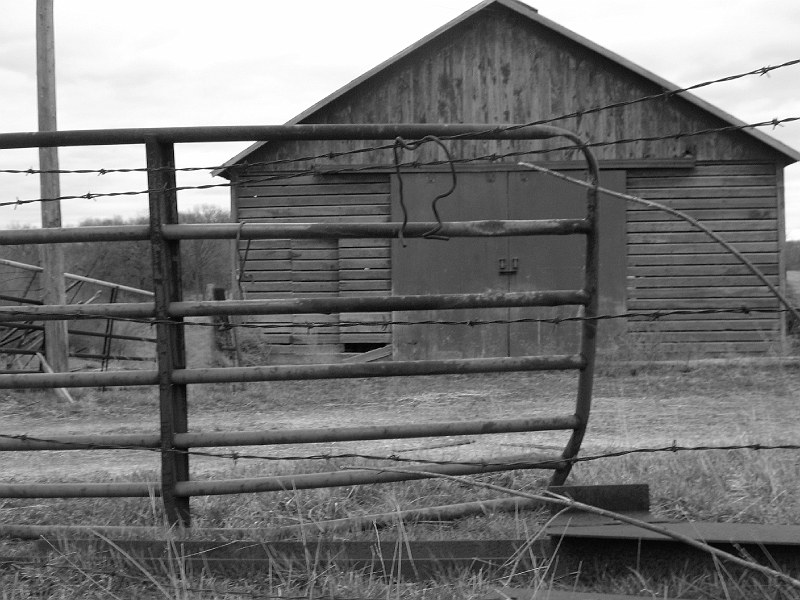 20060430-MaddiePics1-024-bw