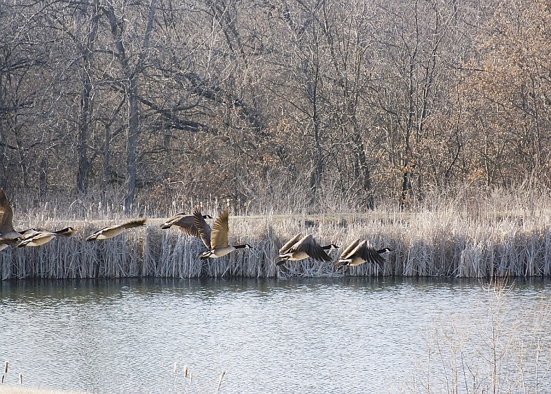 20060225-RandomPicsInMarch-070