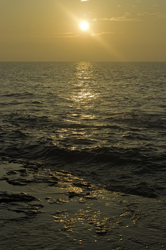 _MG_0715